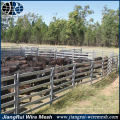 Galvanizado, aço, cavalo, cerca, painéis, agricultura, stockyards